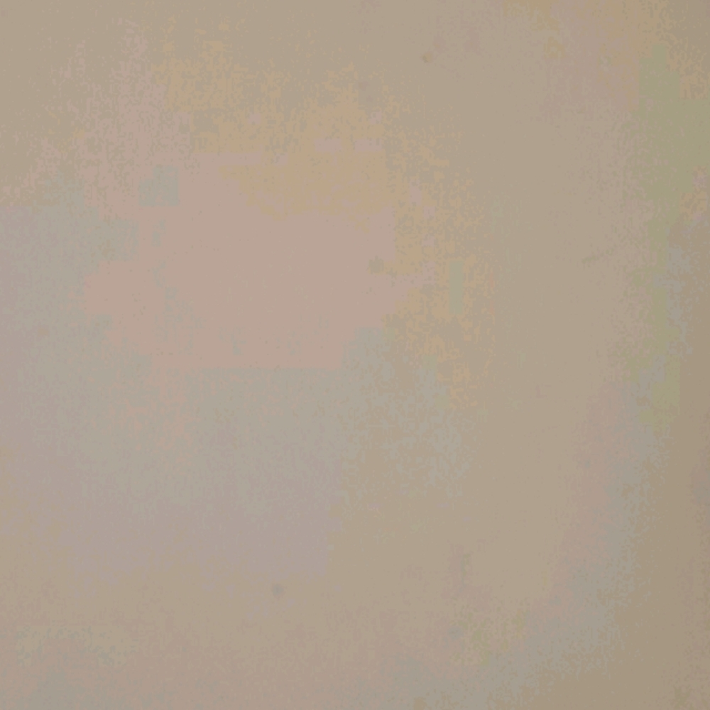 Meet your Posher, Bo